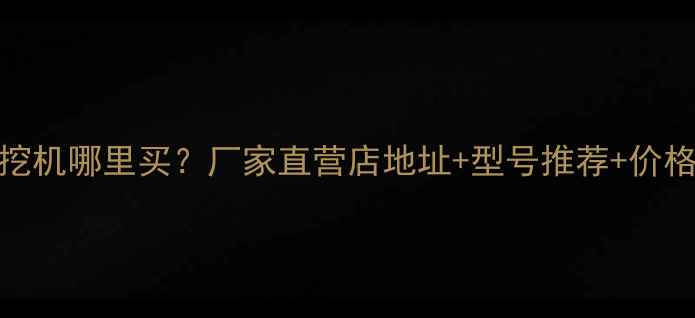 重庆雷道挖机哪里买厂家直营店地址型号推荐价格透明指南