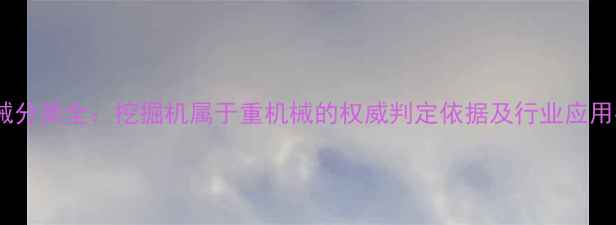 图片 重机械分类全：挖掘机属于重机械的权威判定依据及行业应用指南1