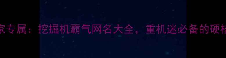 图片 重机玩家专属：挖掘机霸气网名大全，重机迷必备的硬核ID指南