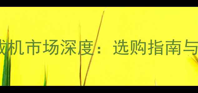 铁甲二手侧翻装载机市场深度选购指南与价值评估全攻略
