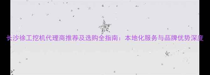 长沙徐工挖机代理商推荐及选购全指南本地化服务与品牌优势深度