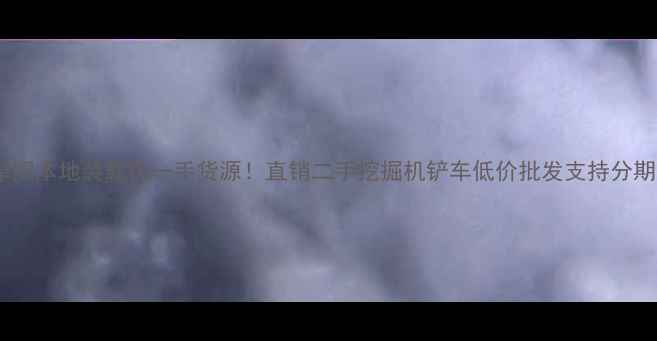 图片 阜阳本地装载机一手货源！直销二手挖掘机铲车低价批发支持分期1