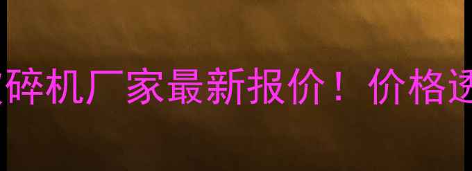 陕西本地塑料破碎机厂家最新报价价格透明定制服务全