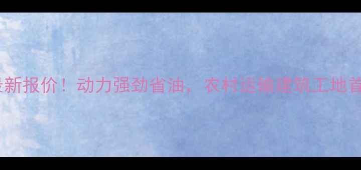 图片 雷沃604发动机价格+最新报价！动力强劲省油，农村运输建筑工地首选！附详细参数对比2