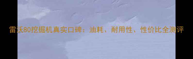 图片 雷沃80挖掘机真实口碑：油耗、耐用性、性价比全测评
