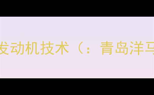 图片 青岛洋马挖机发动机技术（：青岛洋马发动机参数）