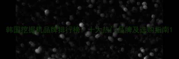 韩国挖掘机品牌排行榜十大热门品牌及选购指南