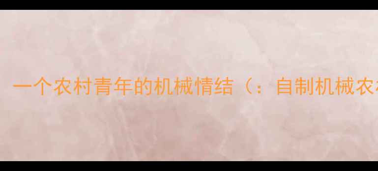 项目背景一个农村青年的机械情结自制机械农村创业