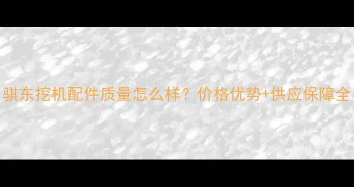 图片 骐东挖机配件质量怎么样？价格优势+供应保障全