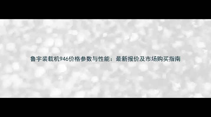 鲁宇装载机946价格参数与性能最新报价及市场购买指南