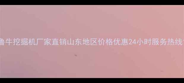 图片 鲁牛挖掘机厂家直销山东地区价格优惠24小时服务热线1