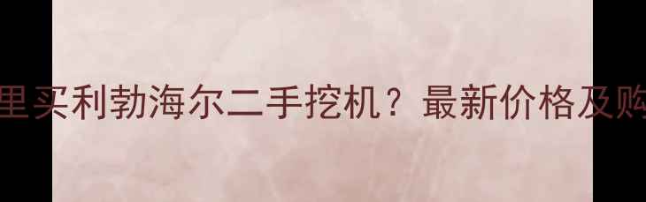 图片 黄石哪里买利勃海尔二手挖机？最新价格及购买指南
