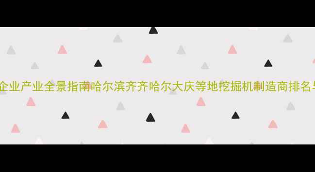 图片 黑龙江挖掘机企业产业全景指南哈尔滨齐齐哈尔大庆等地挖掘机制造商排名与采购全攻略1