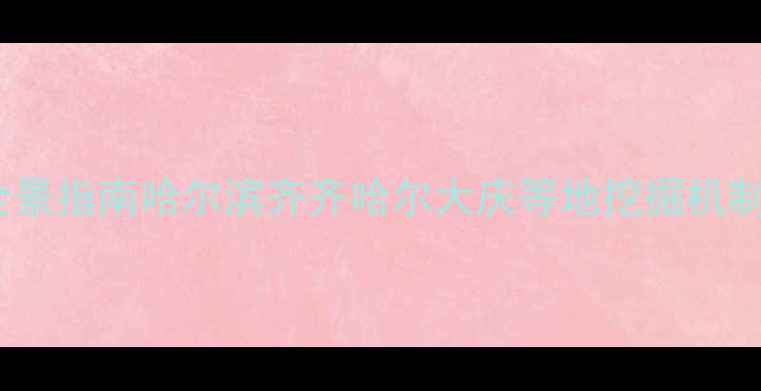 黑龙江挖掘机企业产业全景指南哈尔滨齐齐哈尔大庆等地挖掘机制造商排名与采购全攻略