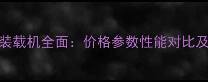 图片 龙工30型装载机全面：价格参数性能对比及购买指南