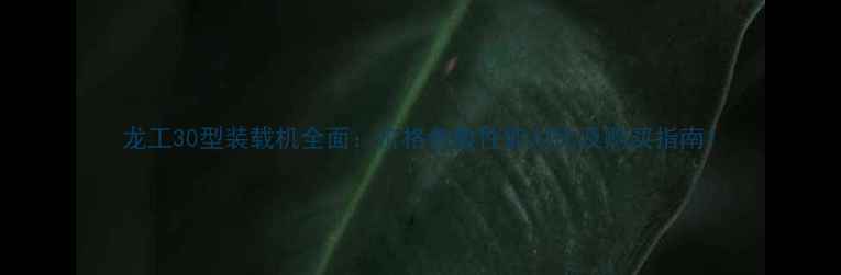 龙工30型装载机全面价格参数性能对比及购买指南