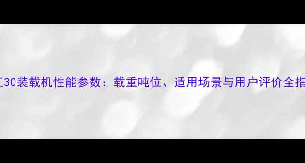 图片 龙工30装载机性能参数：载重吨位、适用场景与用户评价全指南2