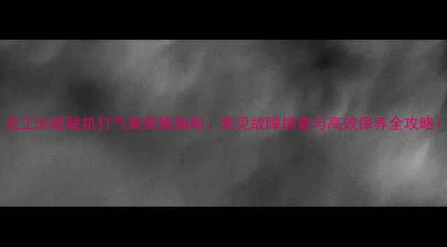 图片 龙工50装载机打气泵维修指南：常见故障排查与高效保养全攻略1