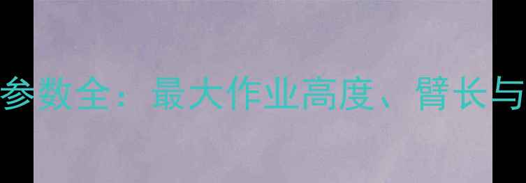 图片 龙工挖掘机225技术参数全：最大作业高度、臂长与适用场景深度解读1