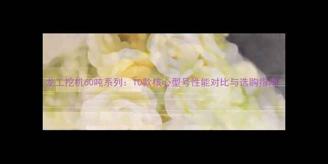 图片 龙工挖机60吨系列：10款核心型号性能对比与选购指南1