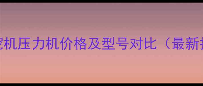 图片 龙工挖机压力机价格及型号对比（最新报价）