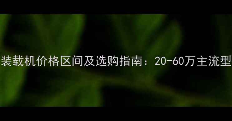 图片 龙工装载机价格区间及选购指南：20-60万主流型号全
