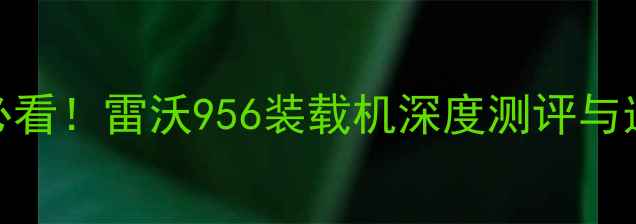 机械控必看雷沃956装载机深度测评与选购全攻略