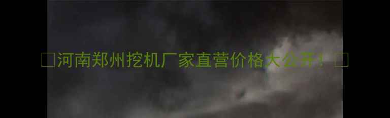 图片 🌟河南郑州挖机厂家直营价格大公开！🌟