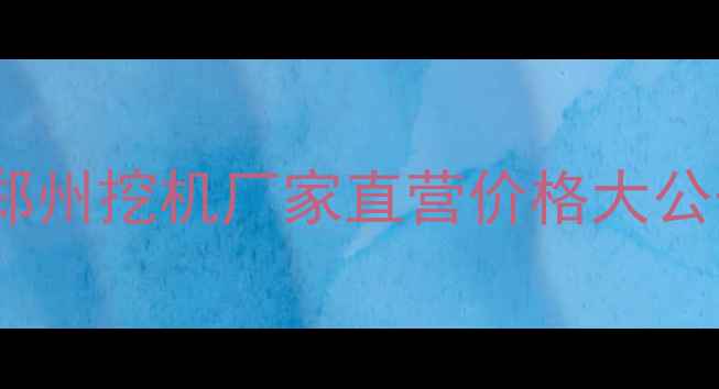 图片 🌟河南郑州挖机厂家直营价格大公开！🌟1