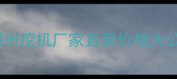 图片 🌟河南郑州挖机厂家直营价格大公开！🌟2