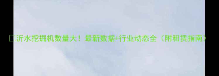 沂水挖掘机数量大最新数据行业动态全附租赁指南