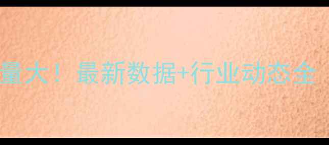 图片 💡沂水挖掘机数量大！最新数据+行业动态全（附租赁指南）2