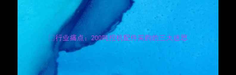 图片 💡行业痛点：200吨挖机配件采购的三大迷思