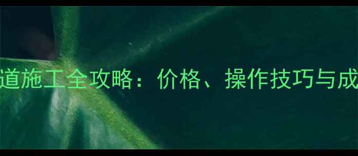 图片 💥210挖掘机隧道施工全攻略：价格、操作技巧与成本控制指南💥1