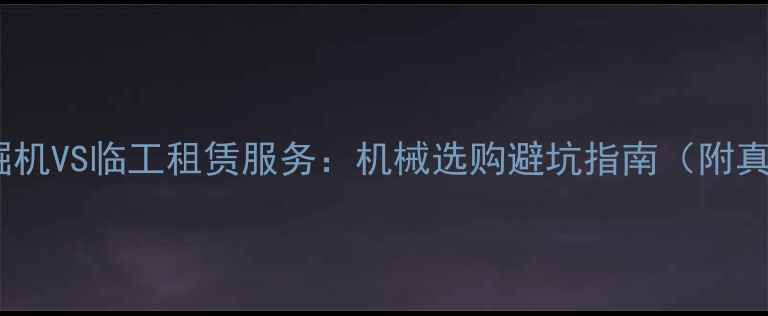 图片 💥三一小型挖掘机VS临工租赁服务：机械选购避坑指南（附真实成本对比）1