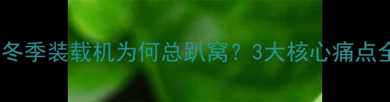 冬季装载机为何总趴窝3大核心痛点全