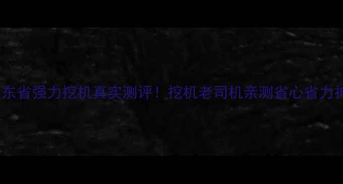 山东省强力挖机真实测评挖机老司机亲测省心省力神器