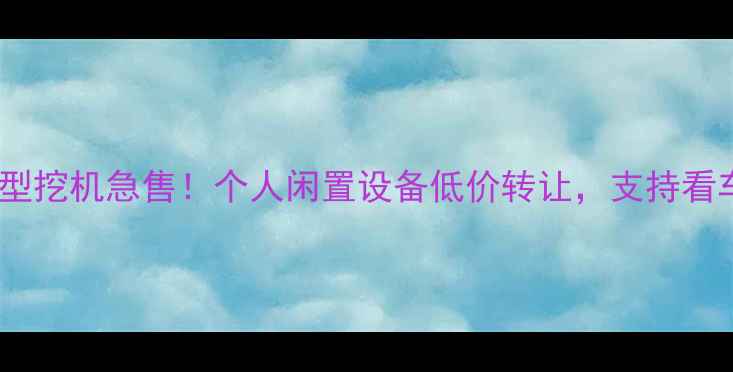 图片 💥广州小型挖机急售！个人闲置设备低价转让，支持看车验货💥2