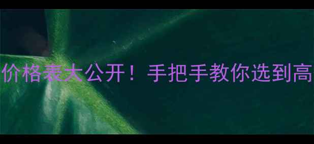 挖掘机新机价格表大公开手把手教你选到高性价比设备