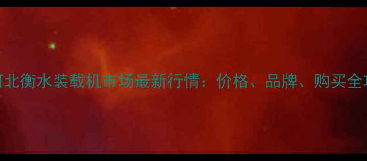河北衡水装载机市场最新行情价格品牌购买全攻略