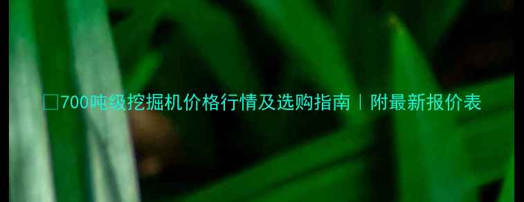 图片 💰700吨级挖掘机价格行情及选购指南｜附最新报价表