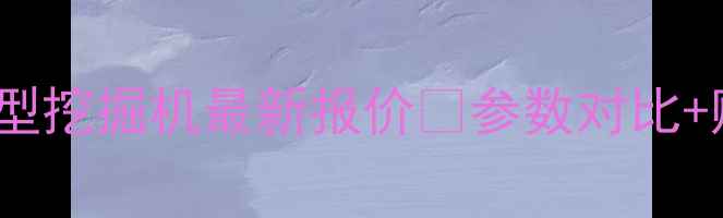 三一300型挖掘机最新报价参数对比购买指南全