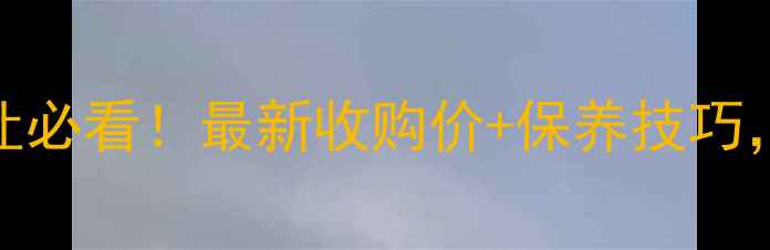 临沂二手挖掘机转让必看最新收购价保养技巧手把手教你避坑