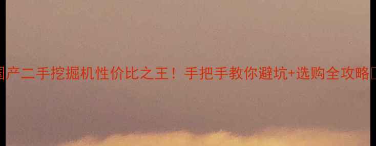 国产二手挖掘机性价比之王手把手教你避坑选购全攻略