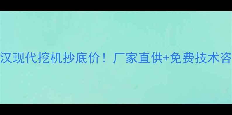 武汉现代挖机抄底价厂家直供免费技术咨询