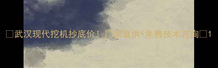 图片 💰武汉现代挖机抄底价！厂家直供+免费技术咨询📞1