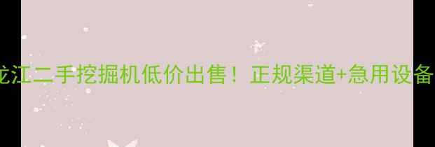 黑龙江二手挖掘机低价出售正规渠道急用设备速联