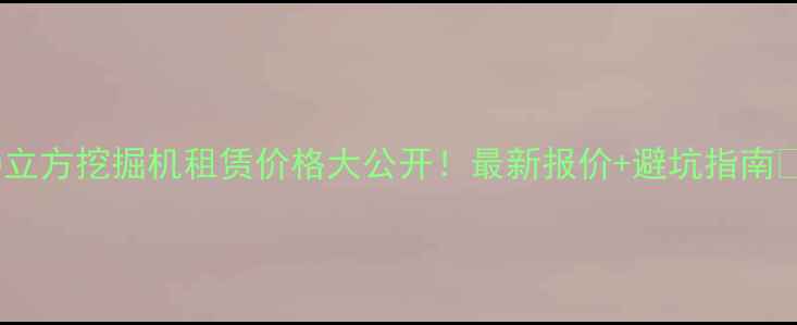 10立方挖掘机租赁价格大公开最新报价避坑指南