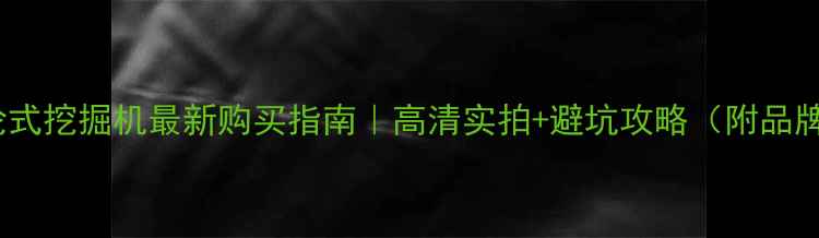 安庆轮式挖掘机最新购买指南高清实拍避坑攻略附品牌对比