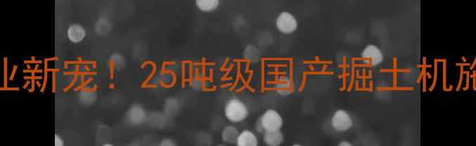 行业新宠25吨级国产掘土机施工全
